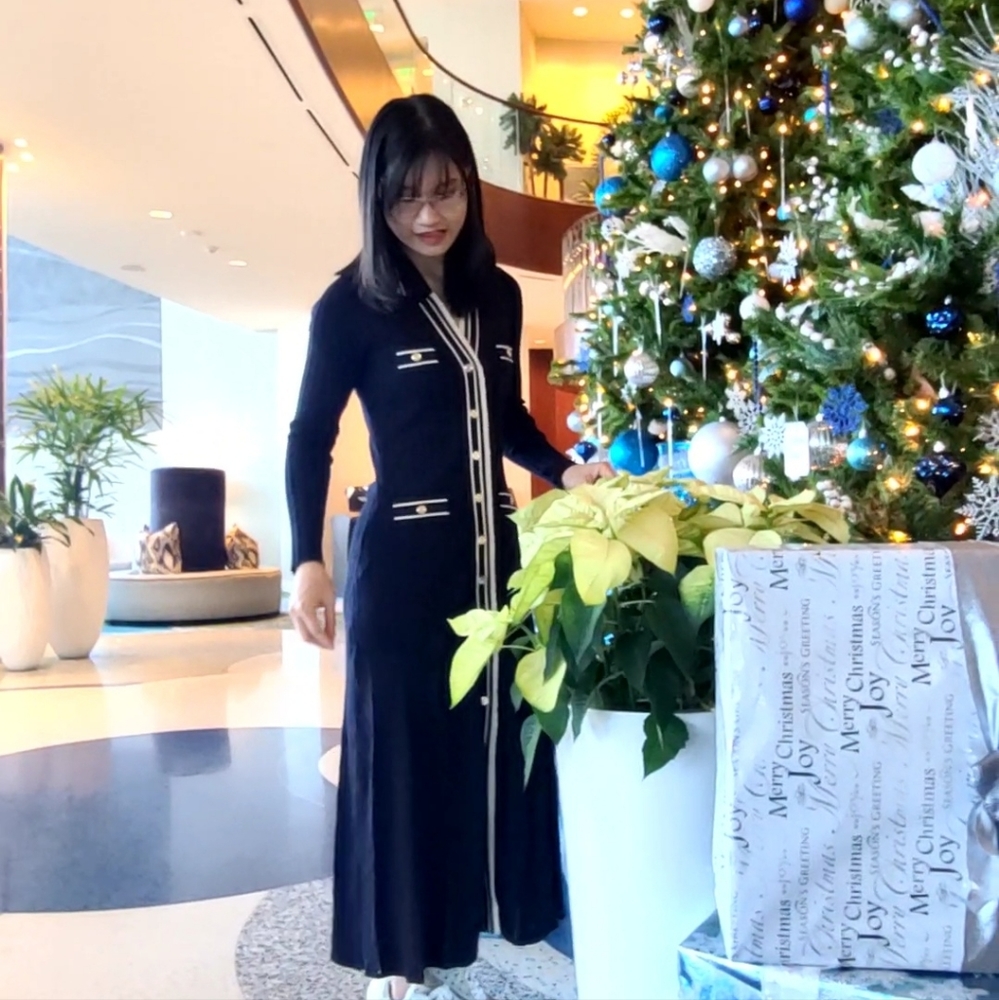 NWOT Sandro Alexandrine ribbed-knit shirtdress